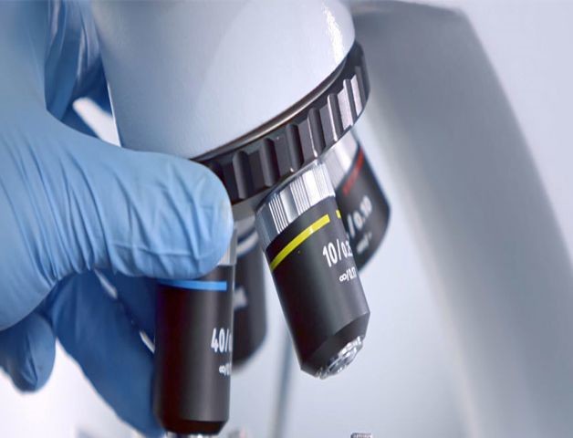 ความสามารถในการวิจัยและพัฒนาสูงสุด